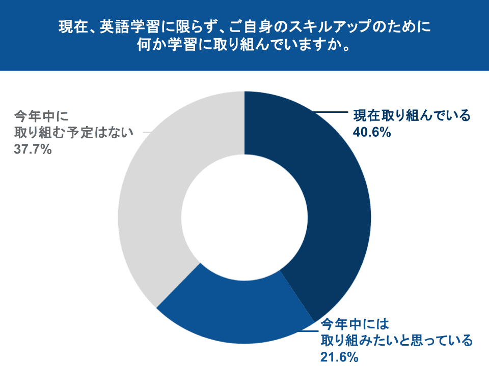 図表13：スキルアップのための取り組み