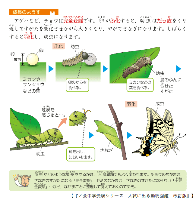 中学受験　理科