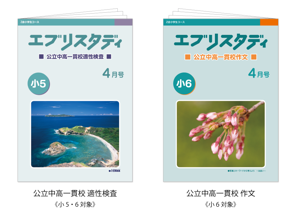 Z会 中学受験 中高一貫校 教材 - 参考書