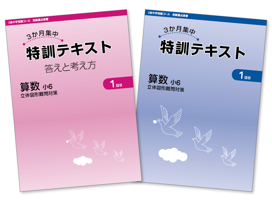 『3か月集中 特訓テキスト』