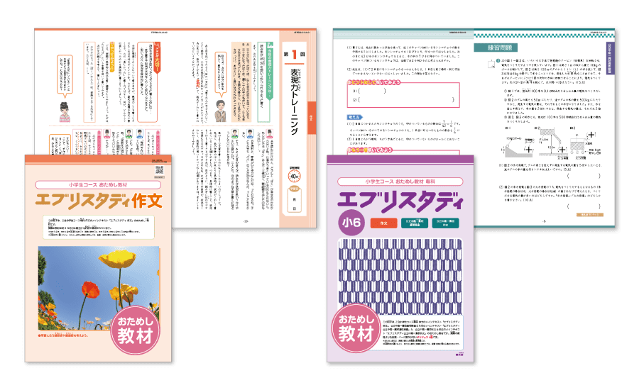 公立一貫