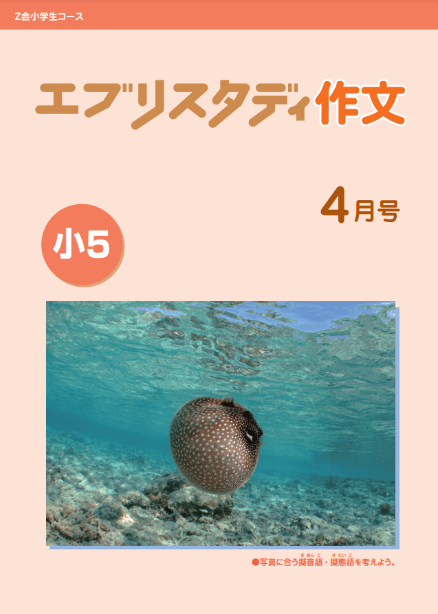 メインテキスト