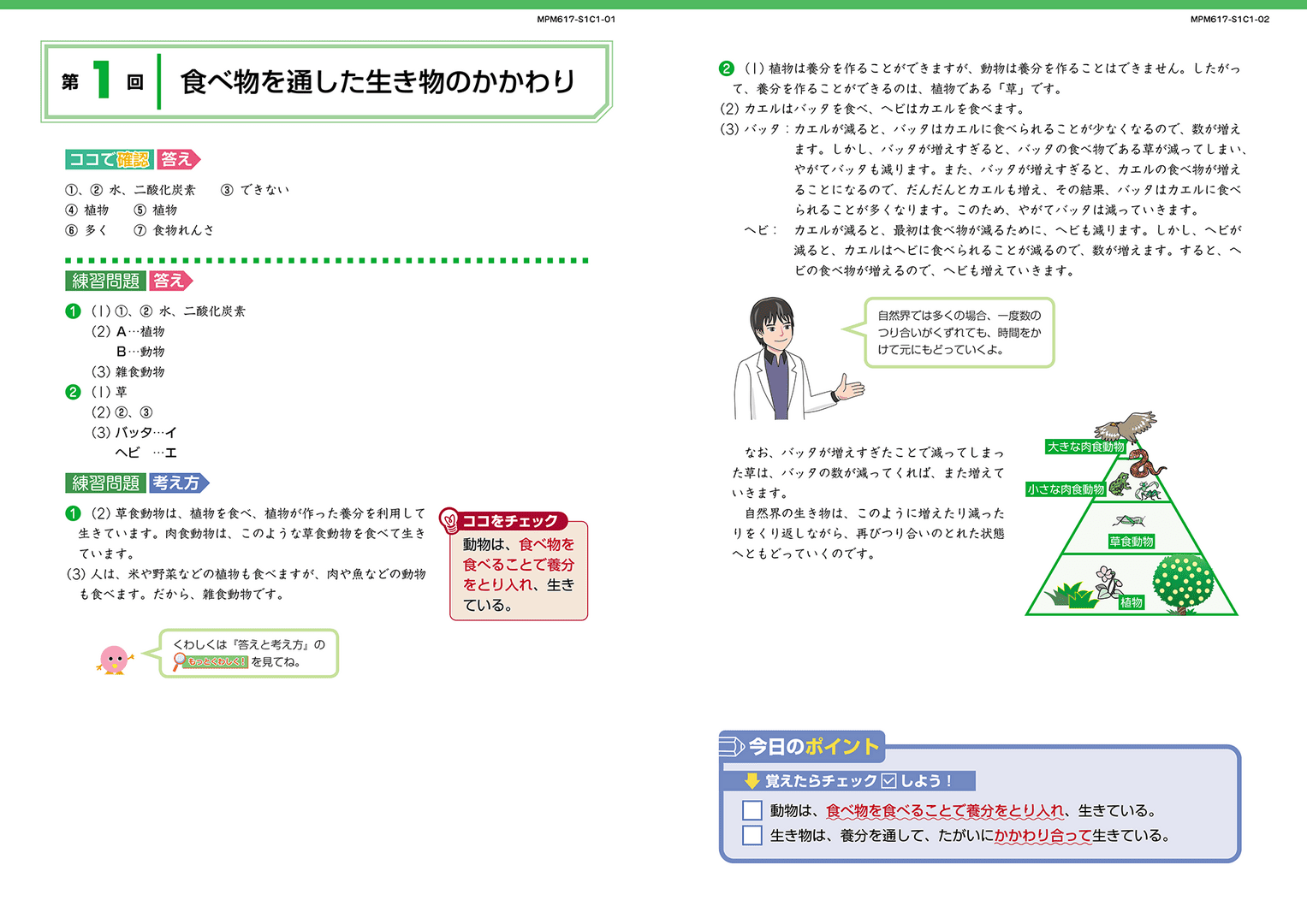 6年基本標準・解答
