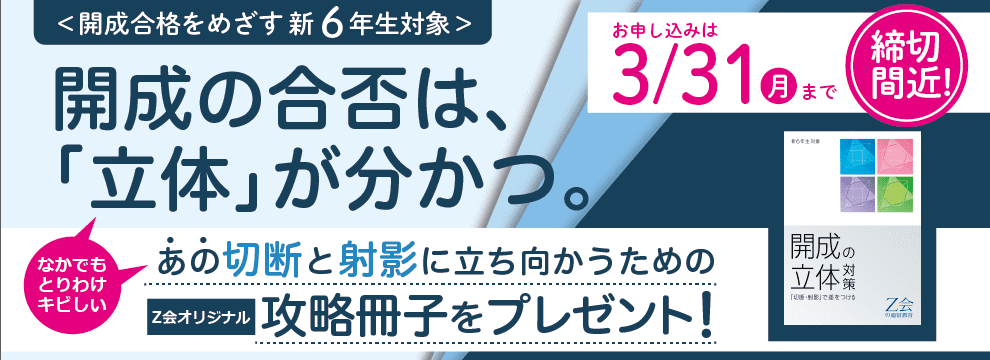 開成の立体