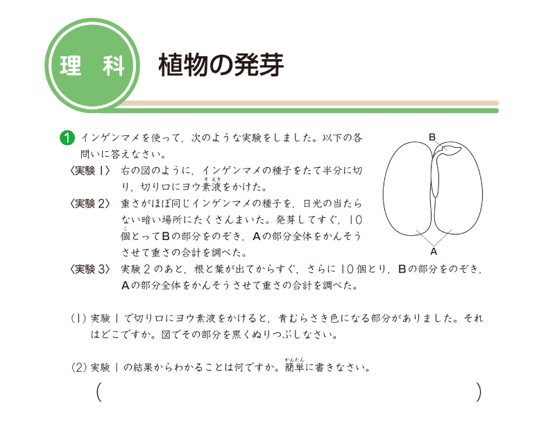 理科問題