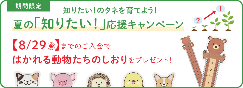 バナー