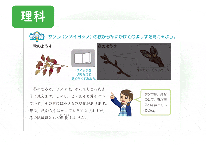 12月号理科 「冬の星・冬の生き物」