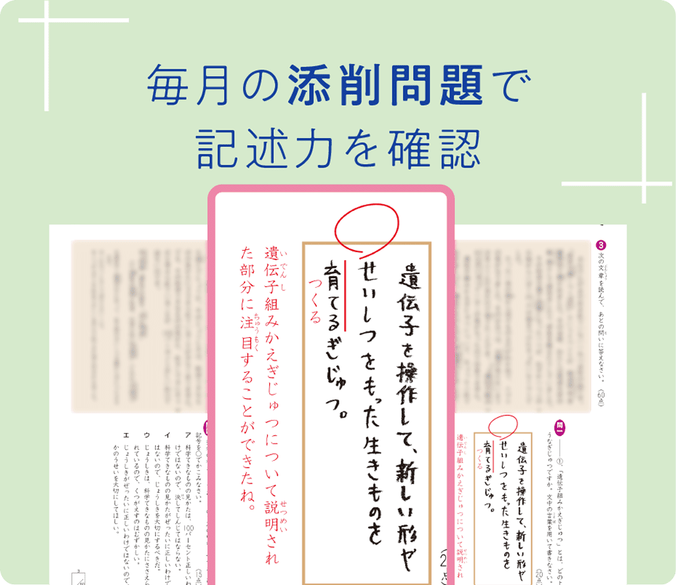 添削指導で記述力を確認