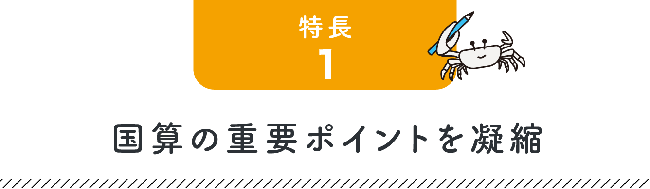 特長1 国算の重要ポイントを凝縮
