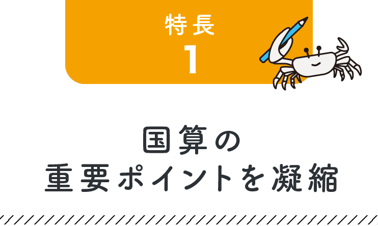 特長1 国算の重要ポイントを凝縮