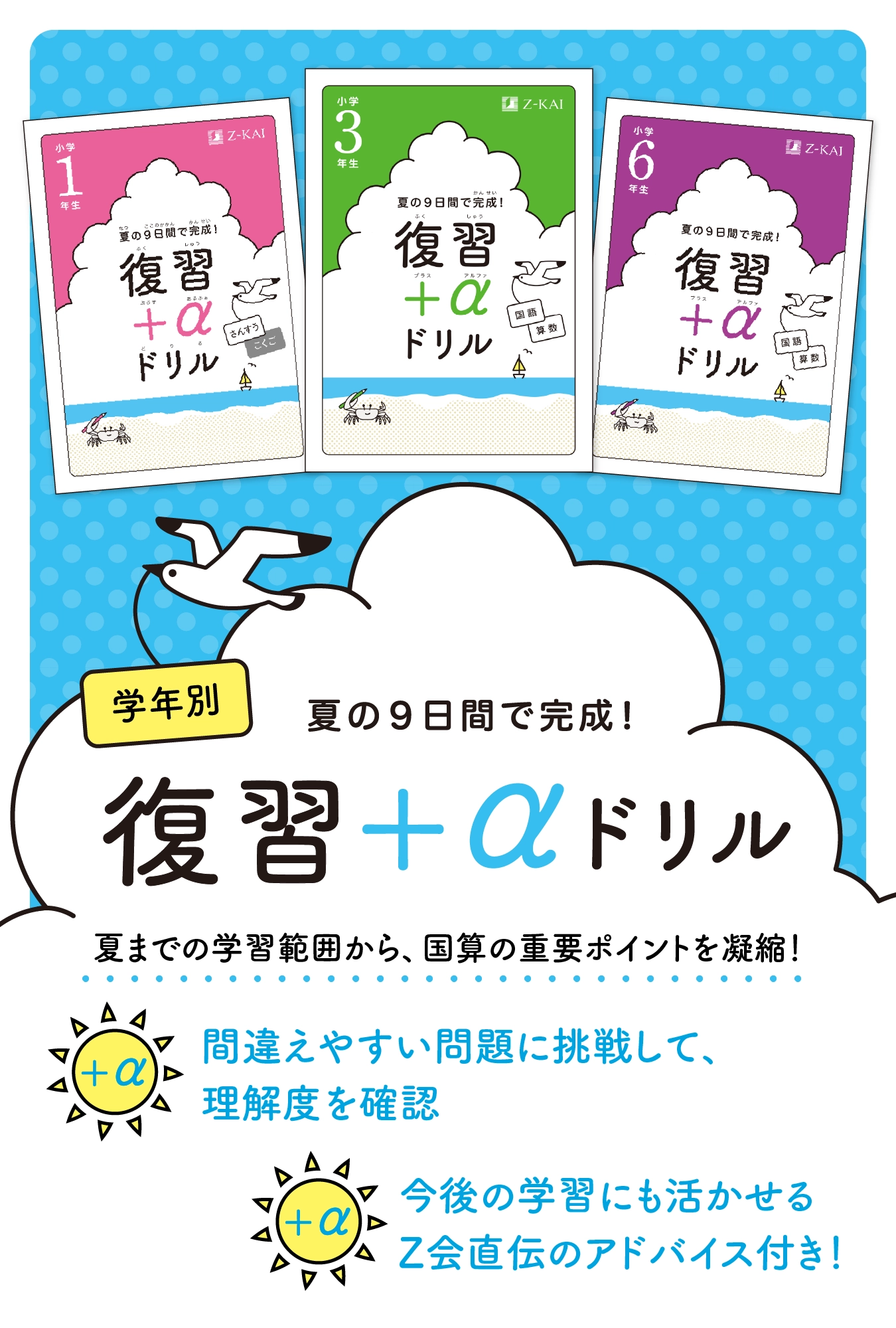 Z会 小2 スタンダード　エブリスタディ.サポートブック、ドリルZ 7〜9月号 小学生向け】夏の大復習キャンペーン - Z会の通信教育 小学生
