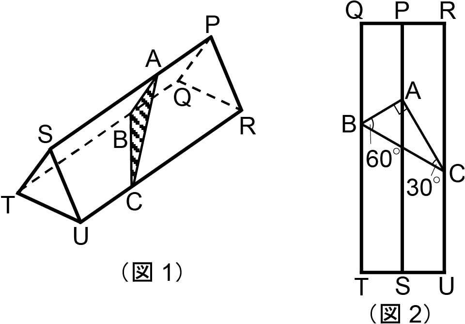 Fig1