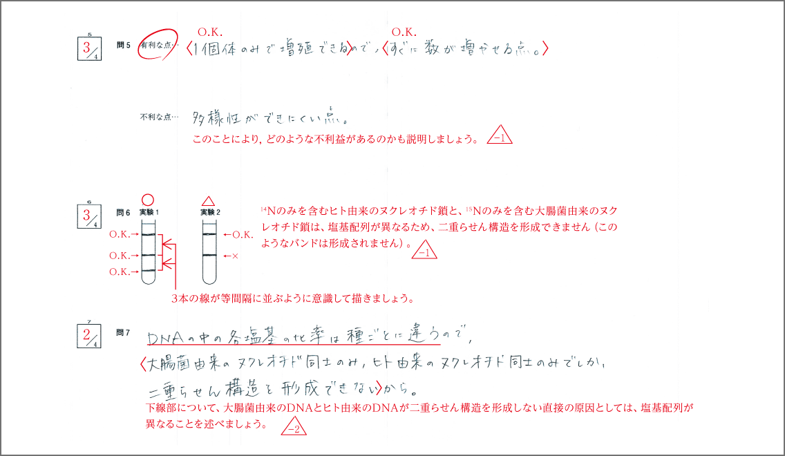 添削指導イメージ