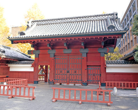 東京大学