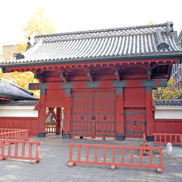 東京大学