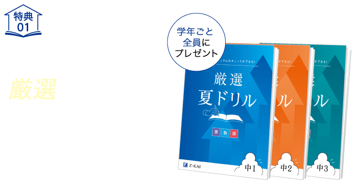 特典01-学年別厳選夏ドリル