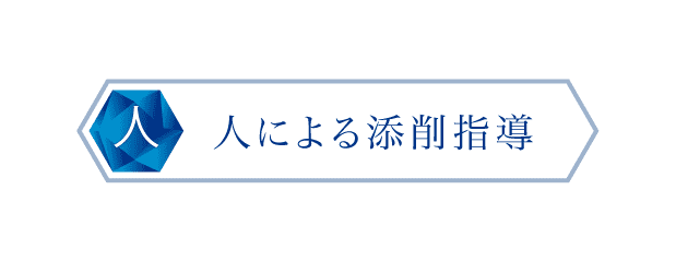 人による添削指導