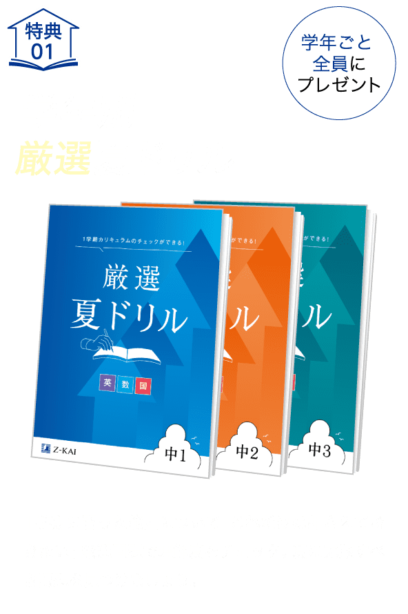 特典01-学年別厳選夏ドリル