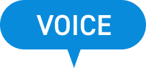 VOICE