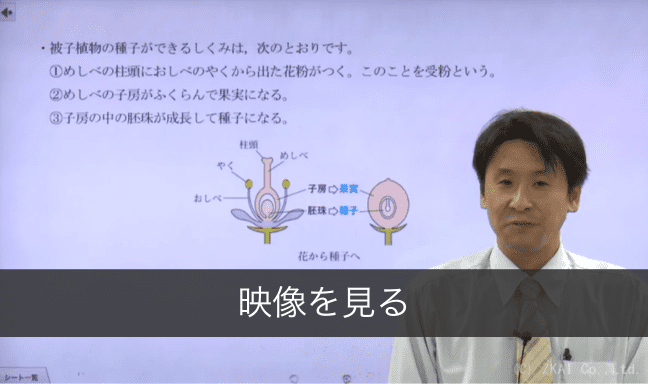 動画サムネイル