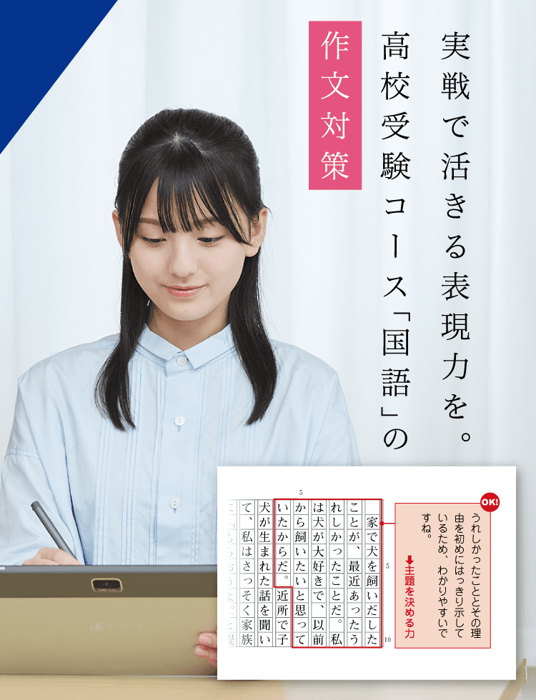 高校受験コース「国語」の作文対策