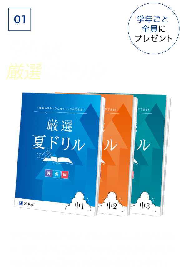 特典01-学年別厳選夏ドリル