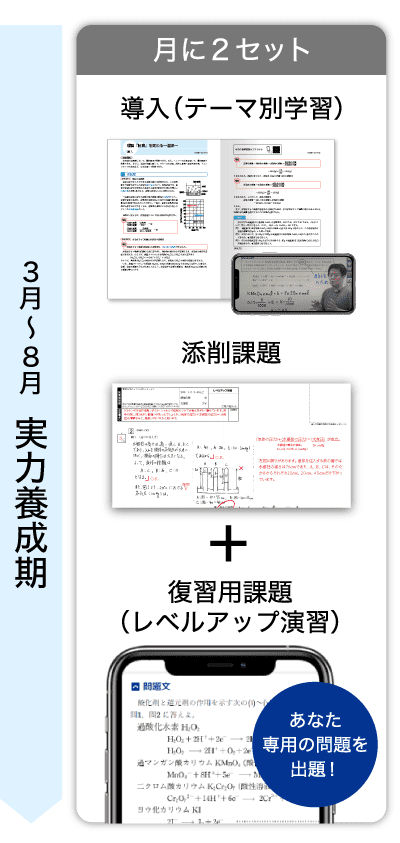 3月～8月　実力養成期