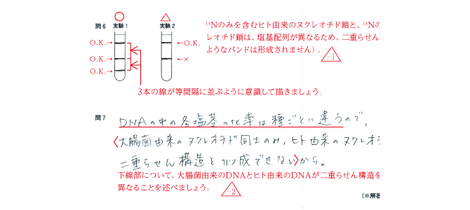 Ｚ会の生物講座（大学受験生） - Ｚ会の通信教育