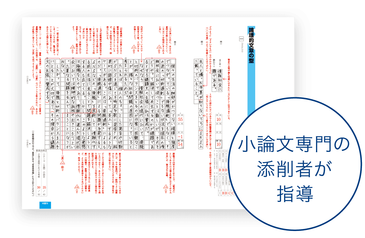 小論文専門の添削者が指導