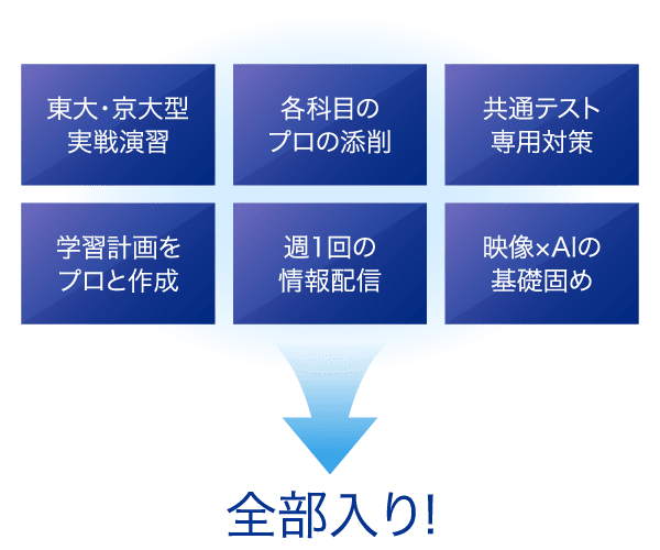 東大京大型実戦演習　各科目のプロの添削　共通テスト専用対策　学習計画をプロと作成　週1回の情報配信　映像×AIの基礎固め　全部入り