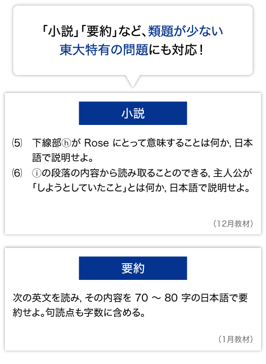 「小説」「要約」など、類題が少ない東大特有の問題にも対応!