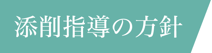 添削指導の方針