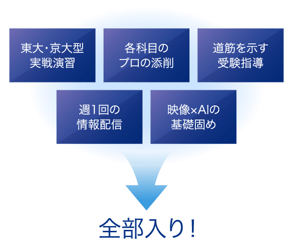 東大京大型実戦演習 各科目のプロの添削 道筋を示す受験指導 週1回の情報配信 映像×AIの基礎固め 全部入り