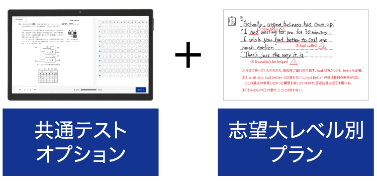 共通テスト演習 志望大レベル別演習