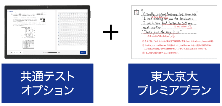 共通テスト演習 志望大レベル別演習