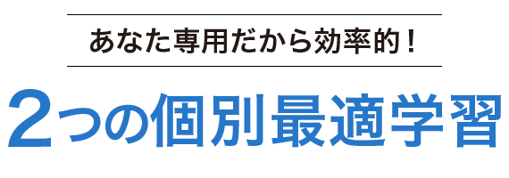 あなた専用だから効率的!2つの個別最適学習