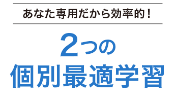 あなた専用だから効率的!2つの個別最適学習