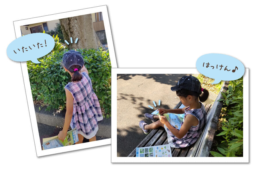 いきものポスター利用イメージ