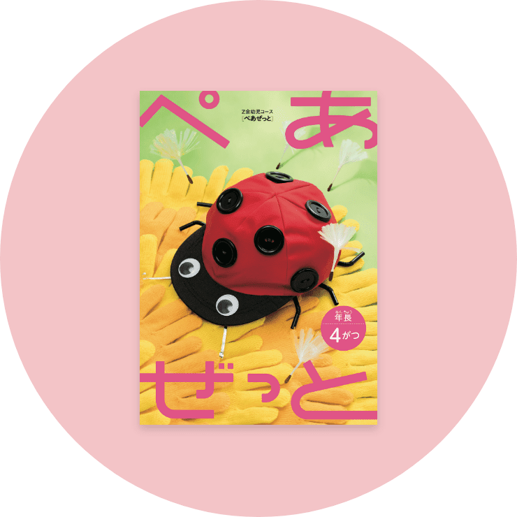 体験型教材 ぺあぜっと