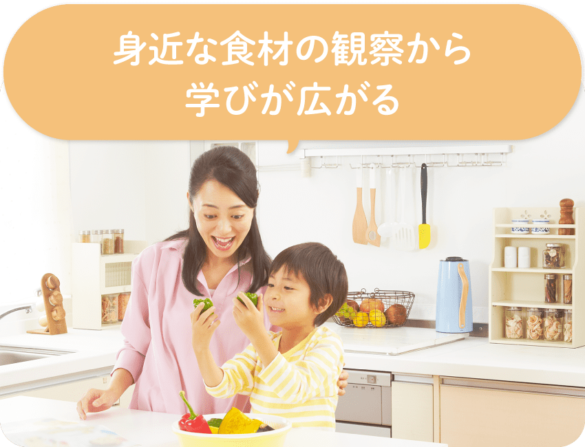 身近な食材の観察から学びが広がる