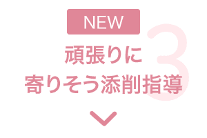 特長3 頑張りに寄りそう添削指導