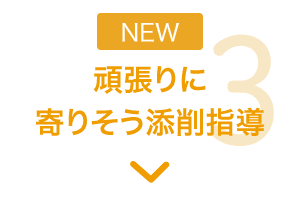 特長3 頑張りに寄りそう添削指導