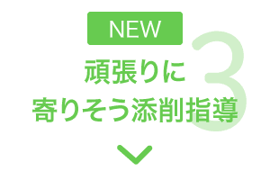 特長3 頑張りに寄りそう添削指導
