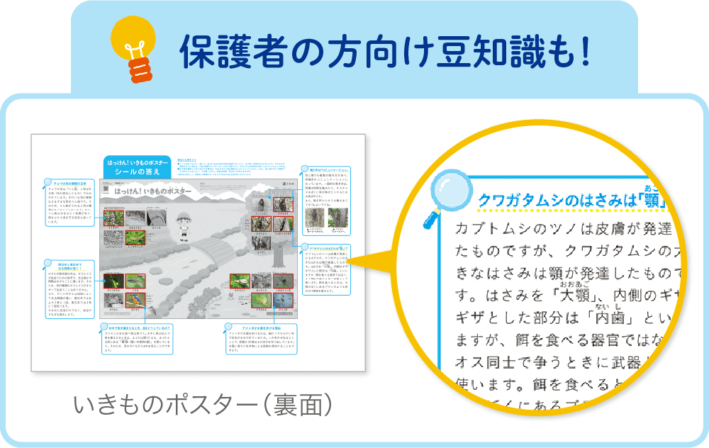 保護者の方向け豆知識