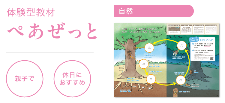 せみの いっしょう