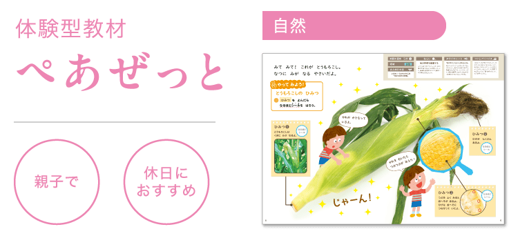 とうもろこしの ひみつ