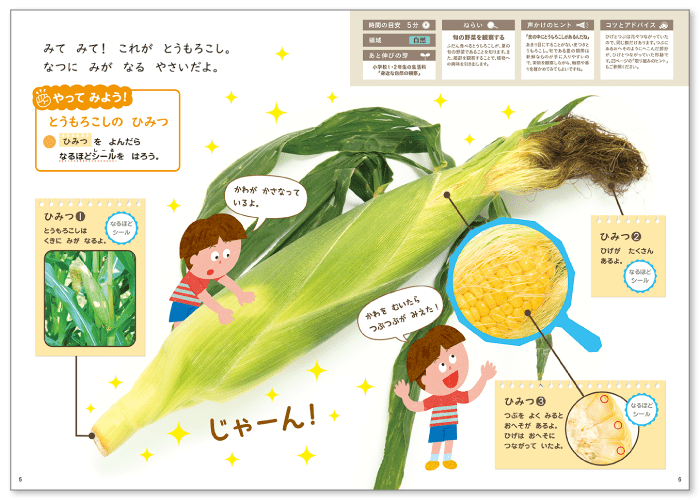 とうもろこしの ひみつ