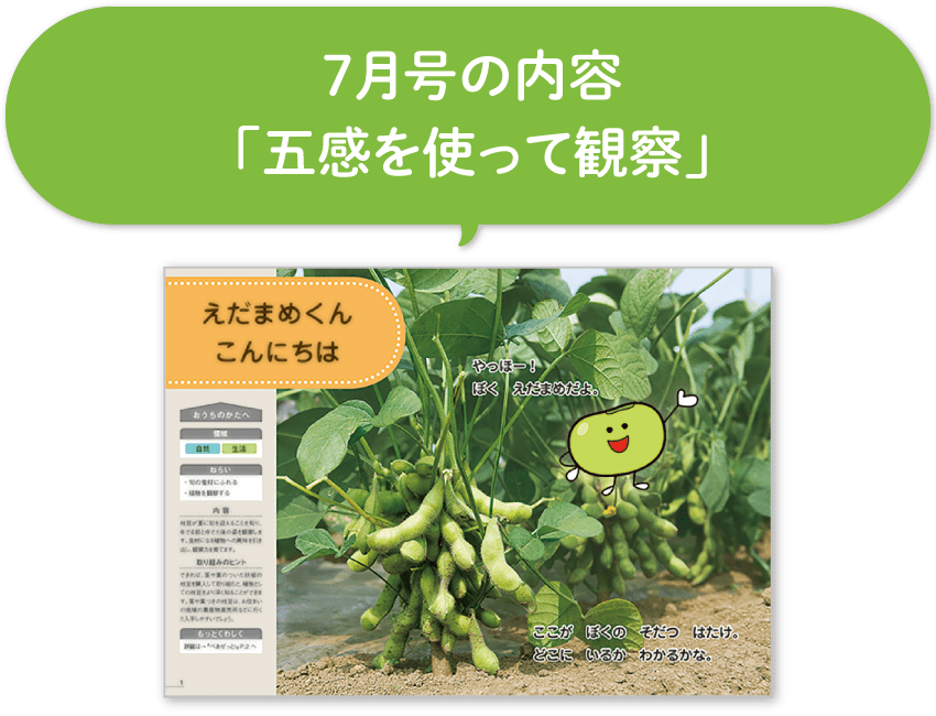 えだまめくん こんにちは
