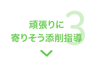 特長3 頑張りに寄りそう添削指導