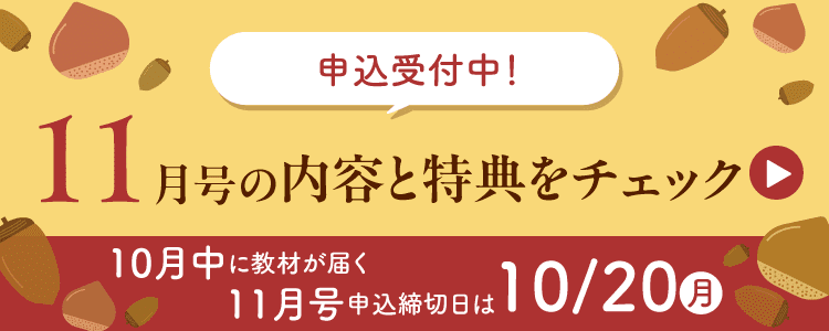 11月号の内容と特典をチェック